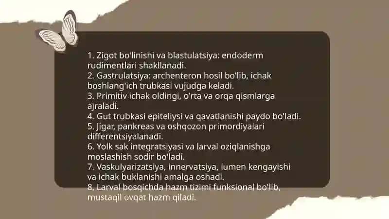 Baliqlarda hazm tizimining embrion rivojlanishi 3