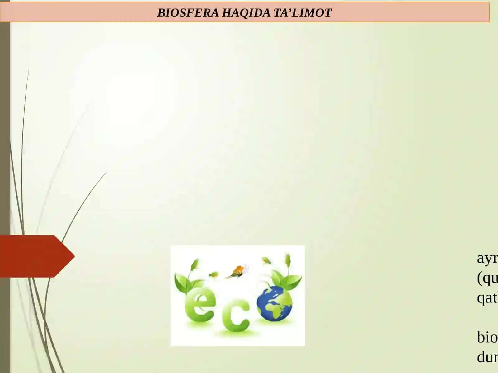 BIOSFERA VA UNING TUZILISHI 3