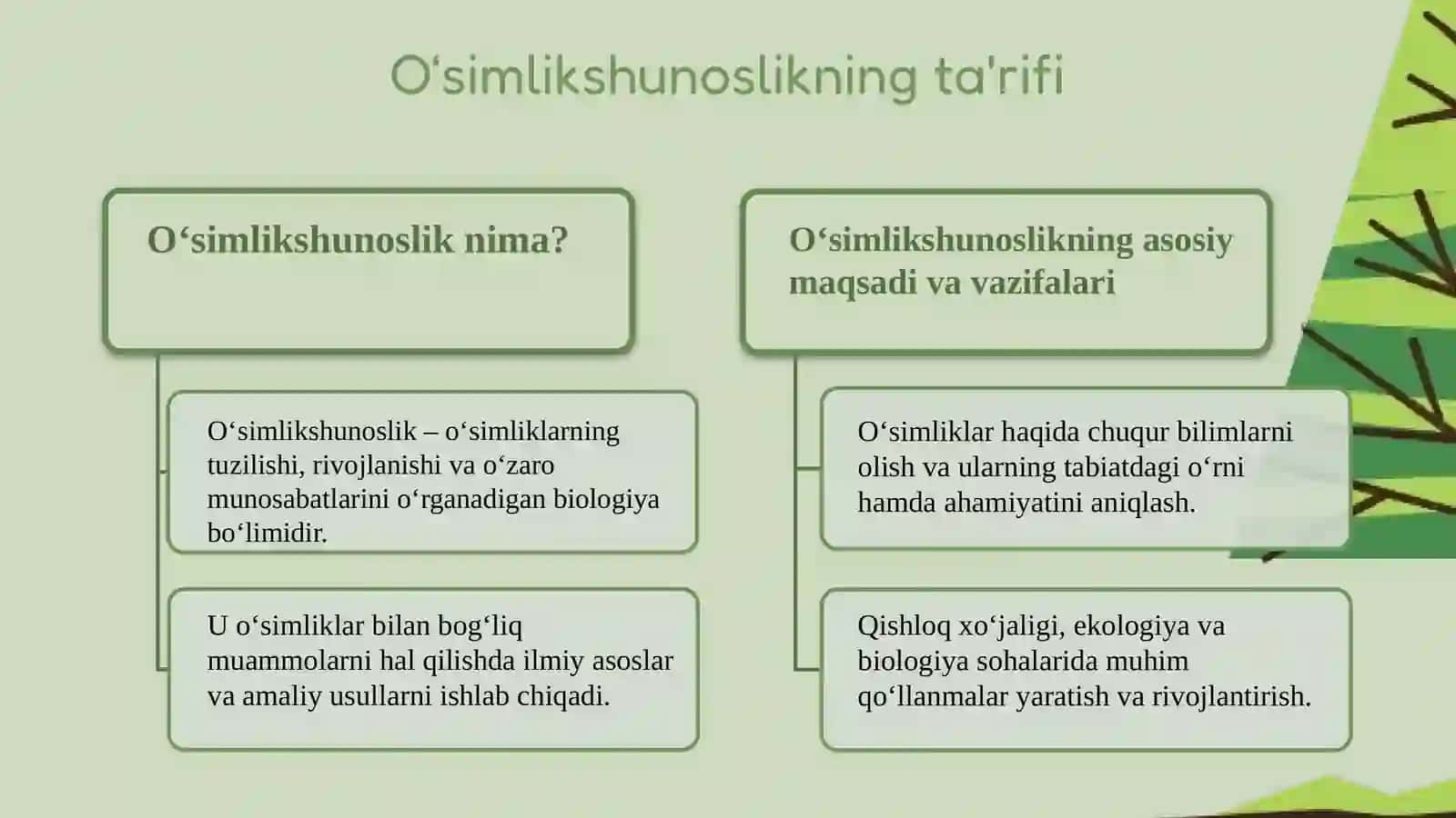 O‘simlikshunoslik 3