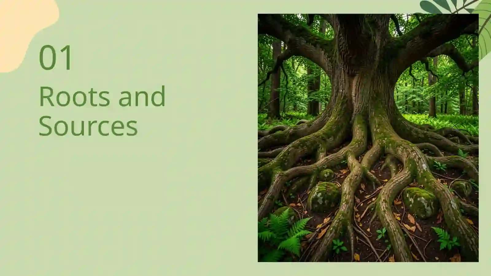 English Roots 3