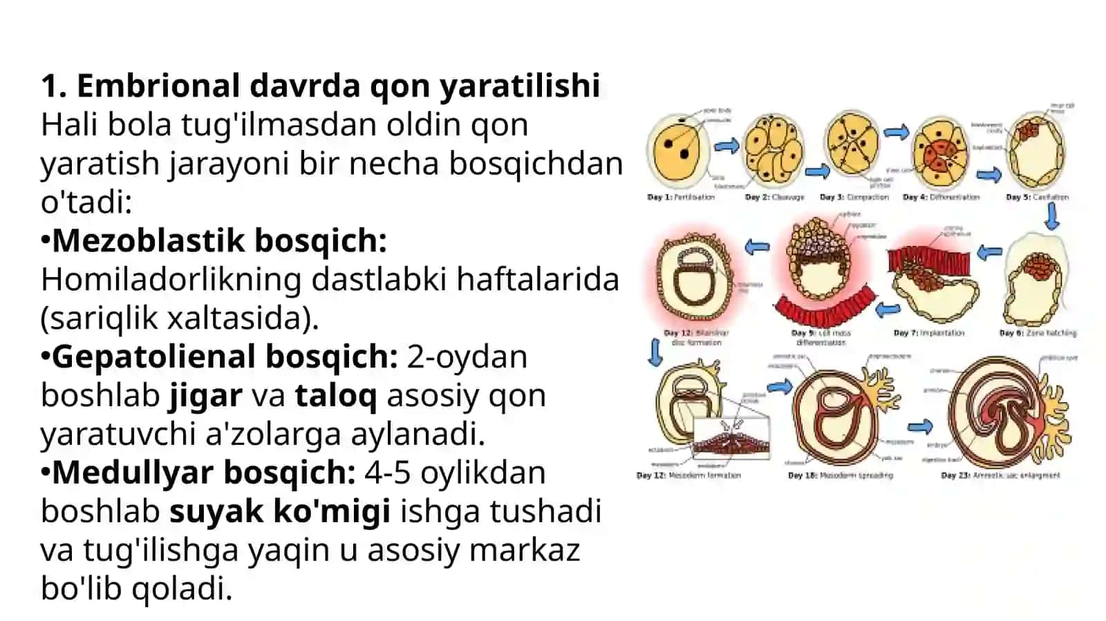 BOLALAR KASALIKLARI PROPEDEVTIKA 3