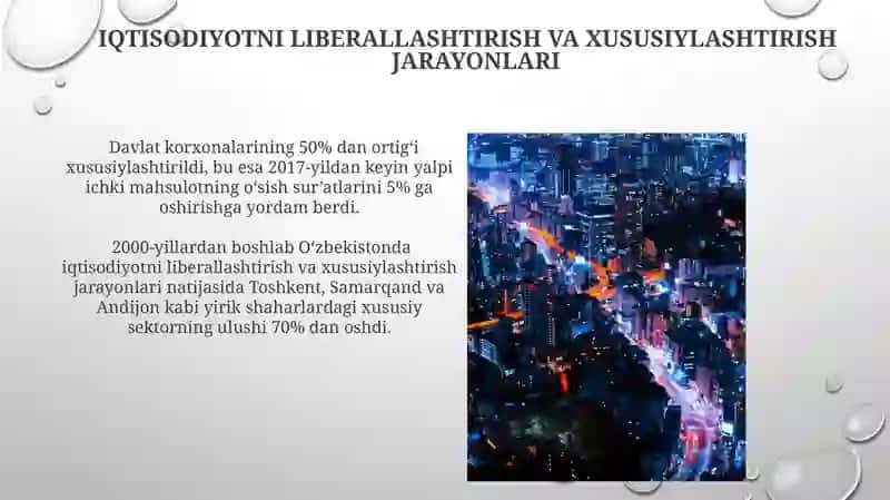 Iqtisodiyotni liberallashtirish va xususiylashtirish jarayonlari 3