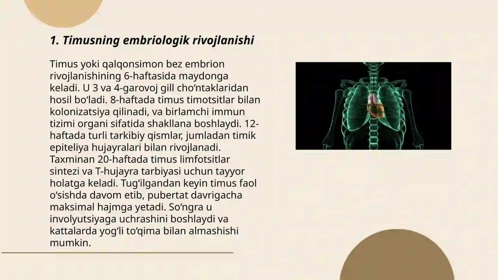 Timusning embirologik rivojlanishi va imonologik ro‘li 3