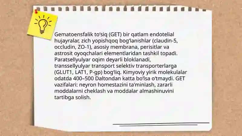 Gematoensfalik toʻsiq gistofiziologiyasi 3