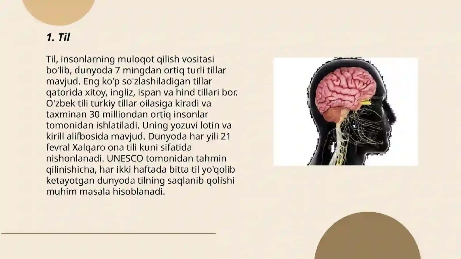 Nutq organlari va artikulatsiya bazasi 3