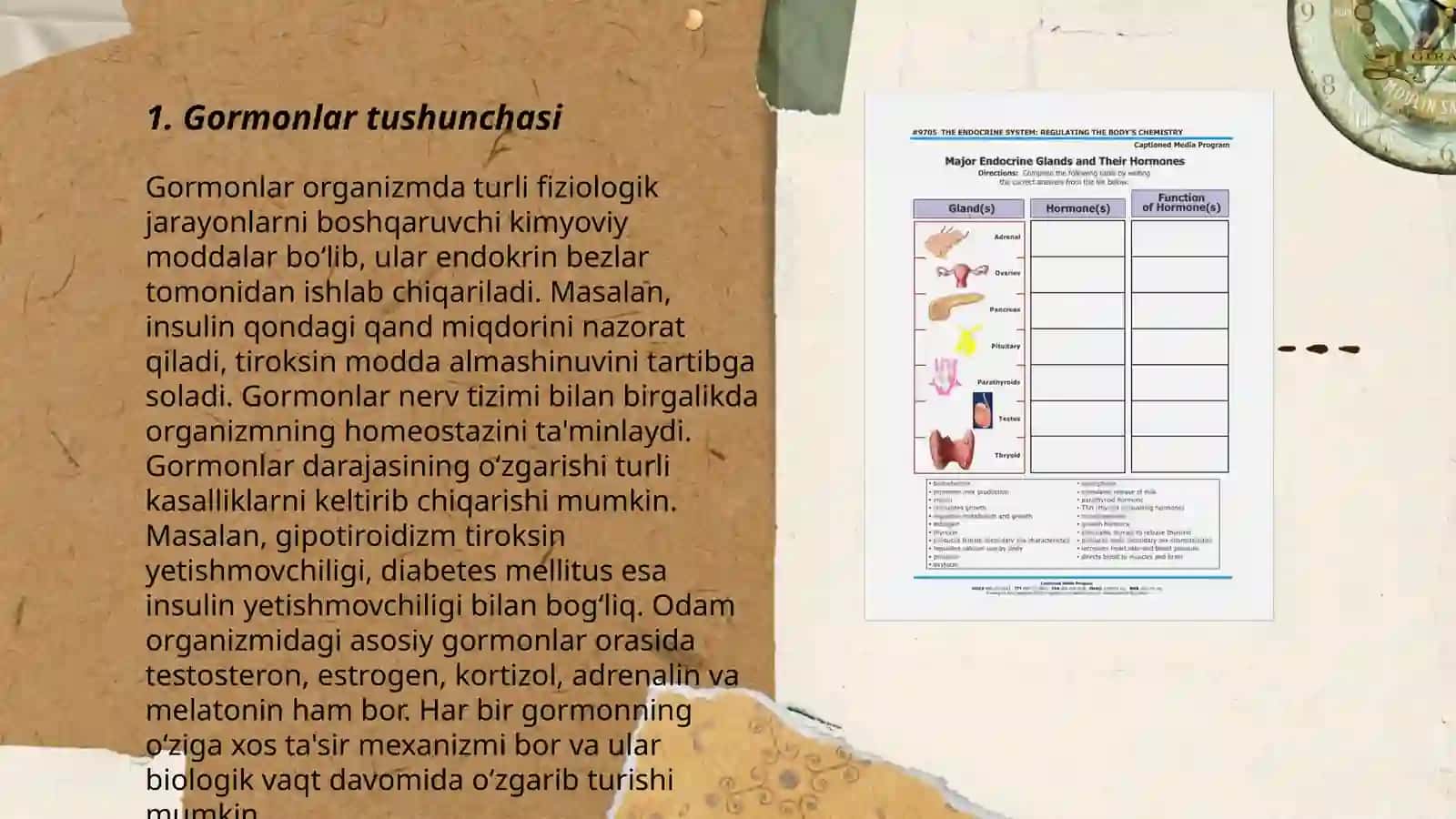 Gormonlar, ularning tuzilishi va funksiyasi 3