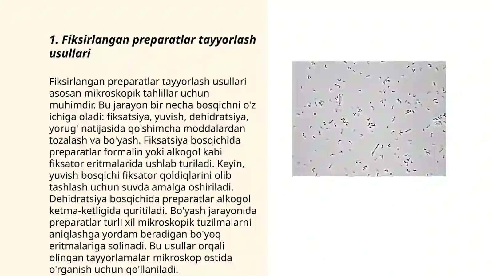 Tayoqchasimon bakteriyalar va spiroxetalar 3