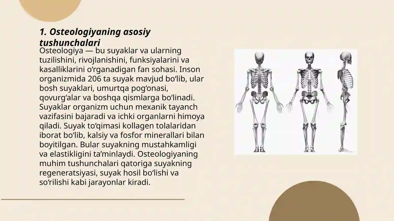 Skelet tizimi filogenezi va buzilishlari 3