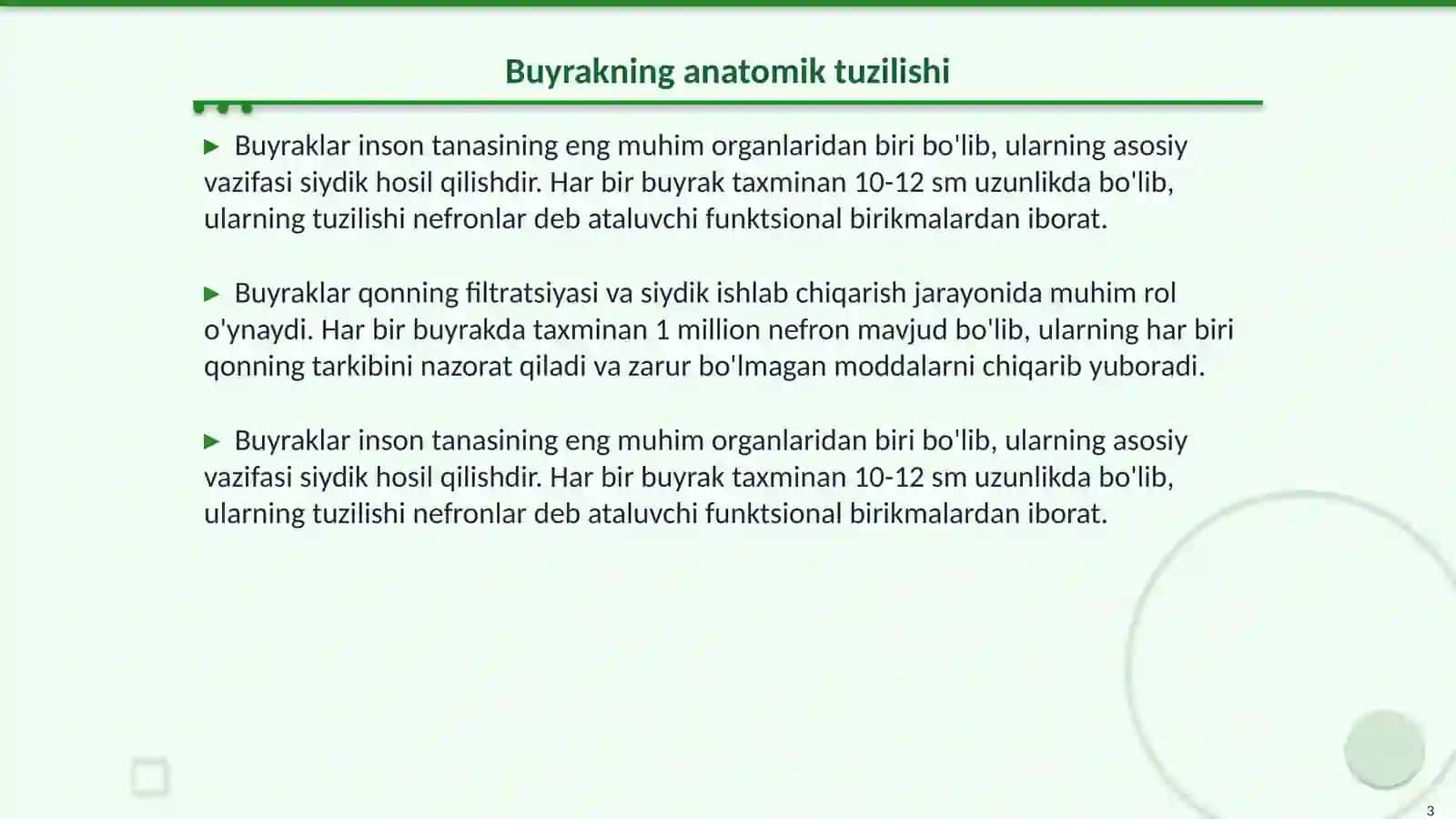 Buyrakning anatomik tuzilishi 3