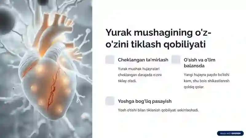 Yurak mushagi regeneratsiyasi: Muammolar va yechimlar 3