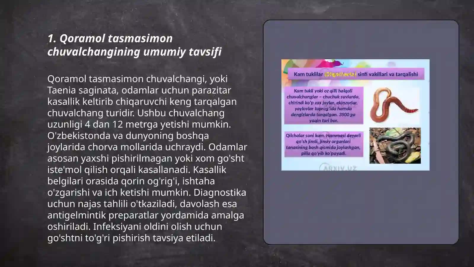 Qoramol va choʻchqa tasmasimon chuvalchangining hayot sikli va xususiyatlari 3