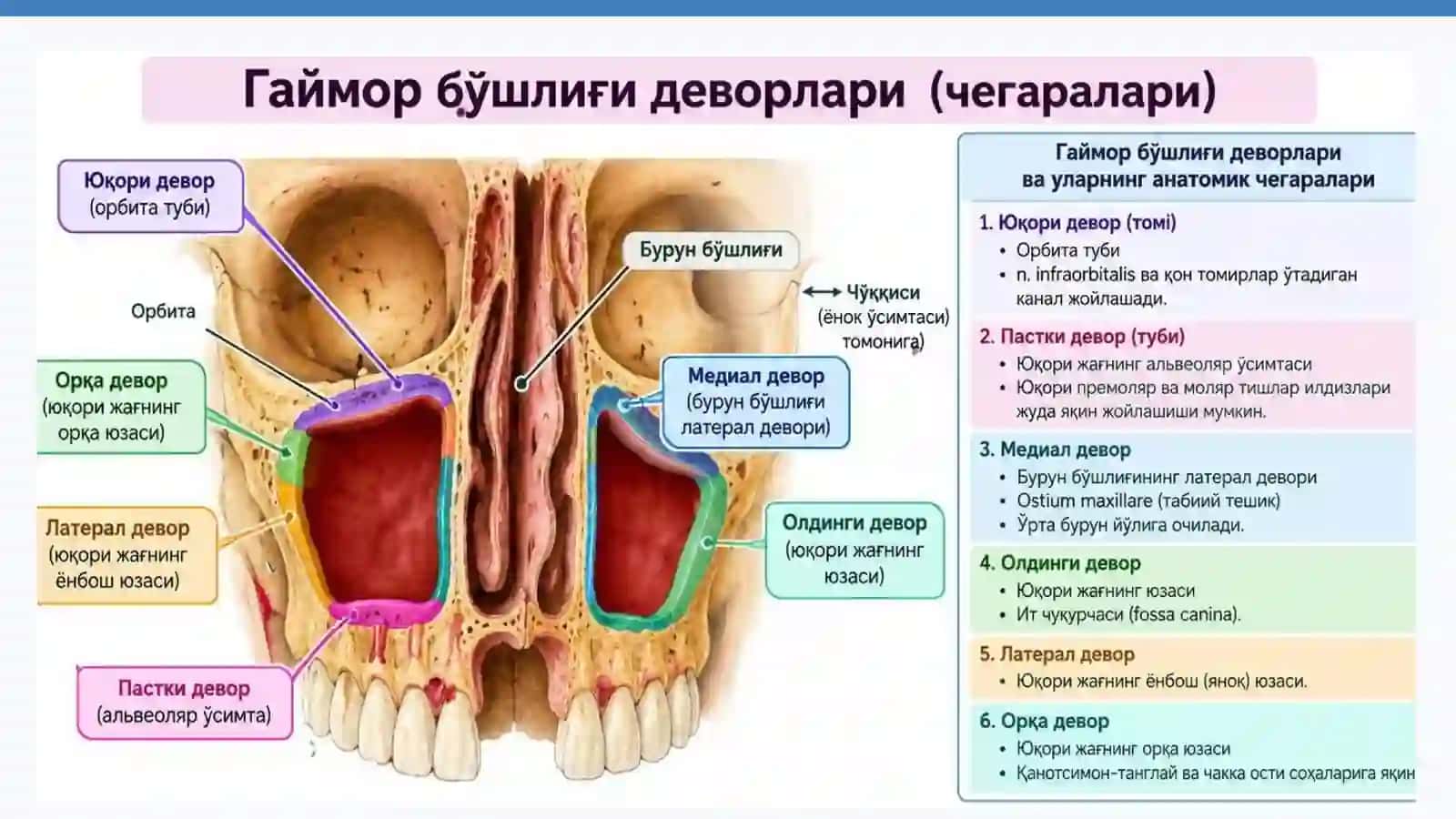 Qahhorova Omina: Yuqori jag‘ bo‘shlig‘i perforatsiyasi 3