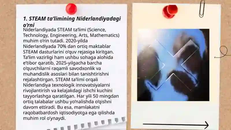 Niderlandiya davlatida STEAM taʼlim tizimi haqida 3