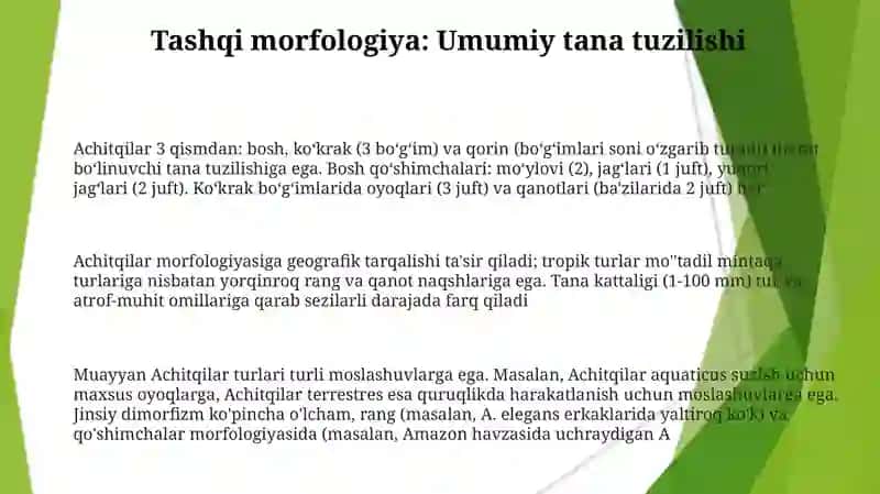 Achitqilar morfologiyasi 3