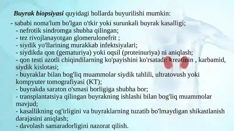Buyrak biopsiyasi pptx 3
