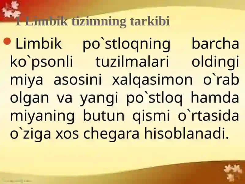 Limbiktizim 3