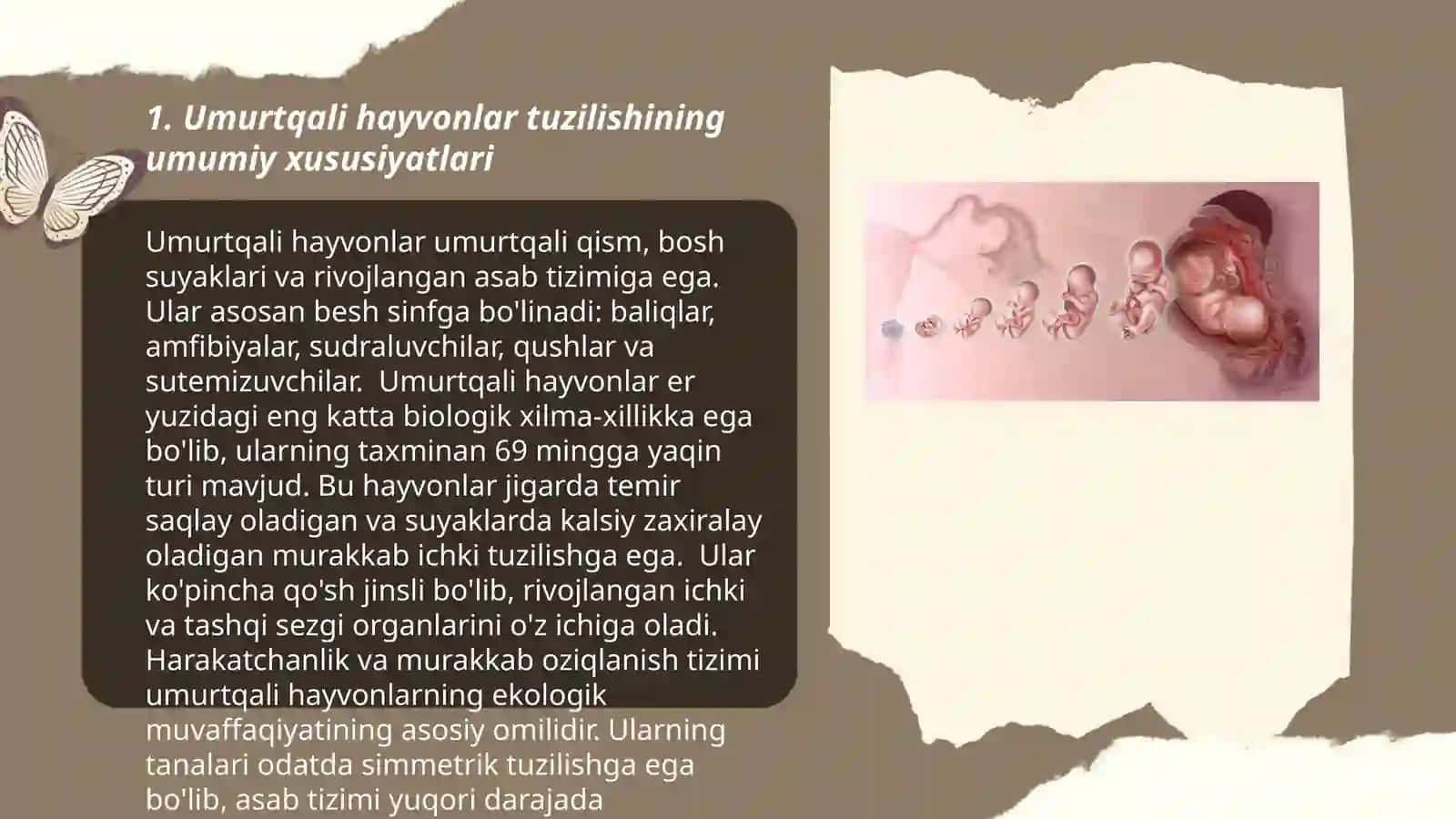 Umurtqali hayvonlarning anatomiyasi, fiziologiyasi, sistematikasi, evolyutsiyasi va tabiatda tutgan o‘rni 3