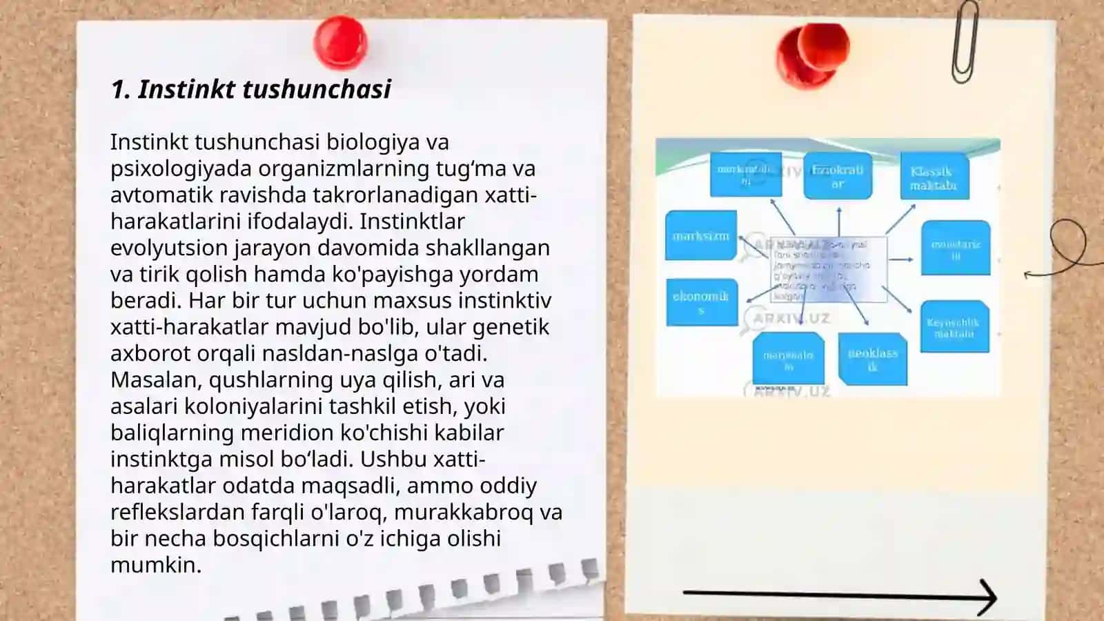 Ijtimoiy Xulqning Instinktlari Nazariyasi 3