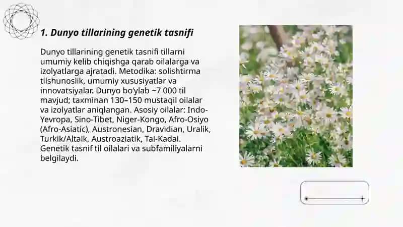 Dunyo tillarning genetik tasnifi 3