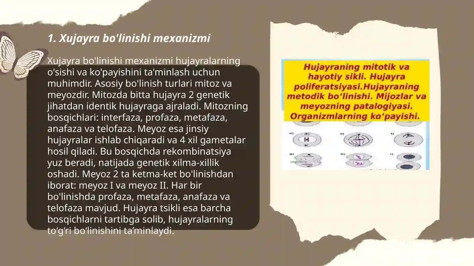Xujayra poliferatsiyasi mexanizmlarining buzilishi Yomon sifatli oʻsmalar 3