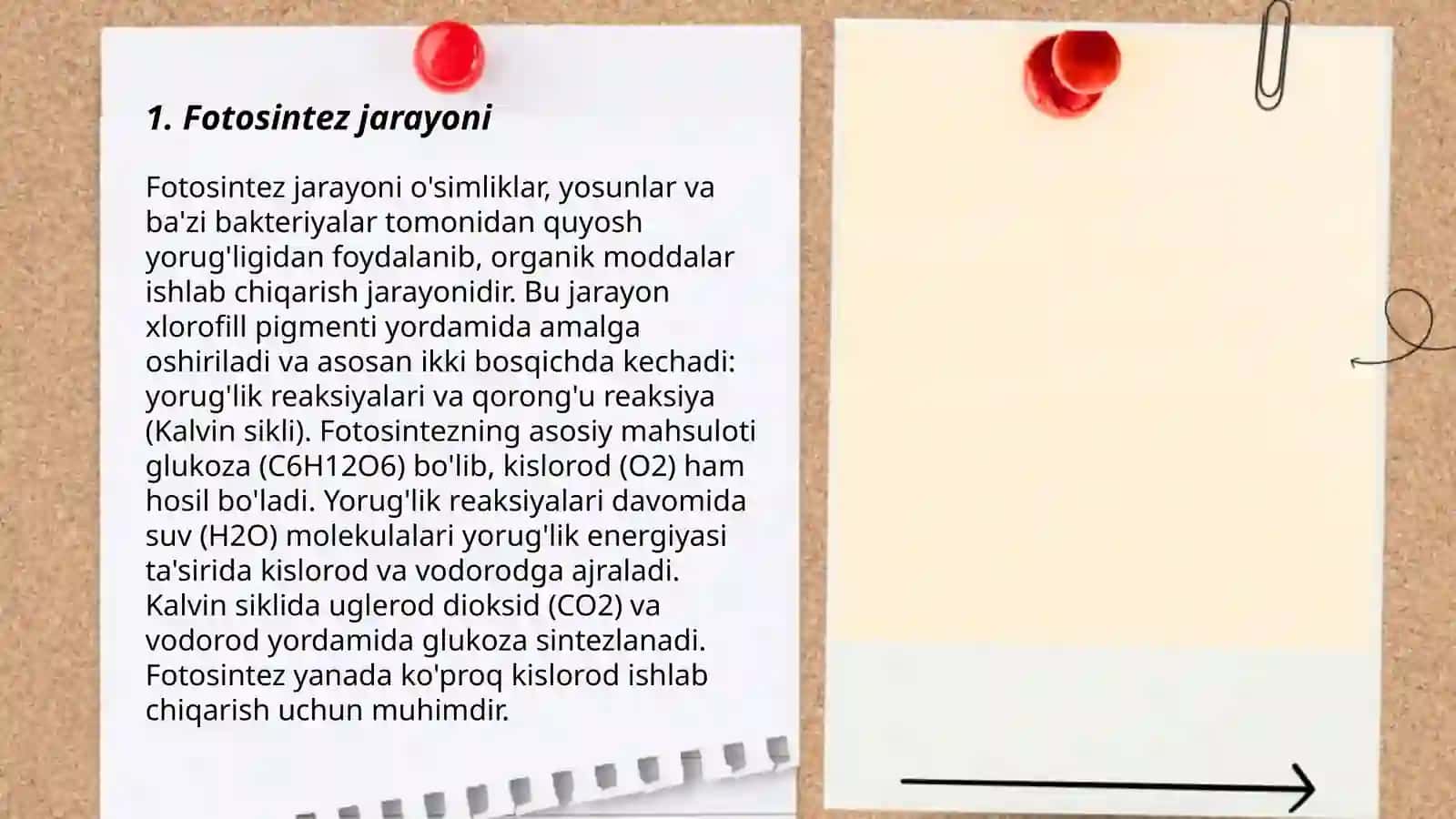 O'simliklar dunyosi va ularni yashash tarzi 3