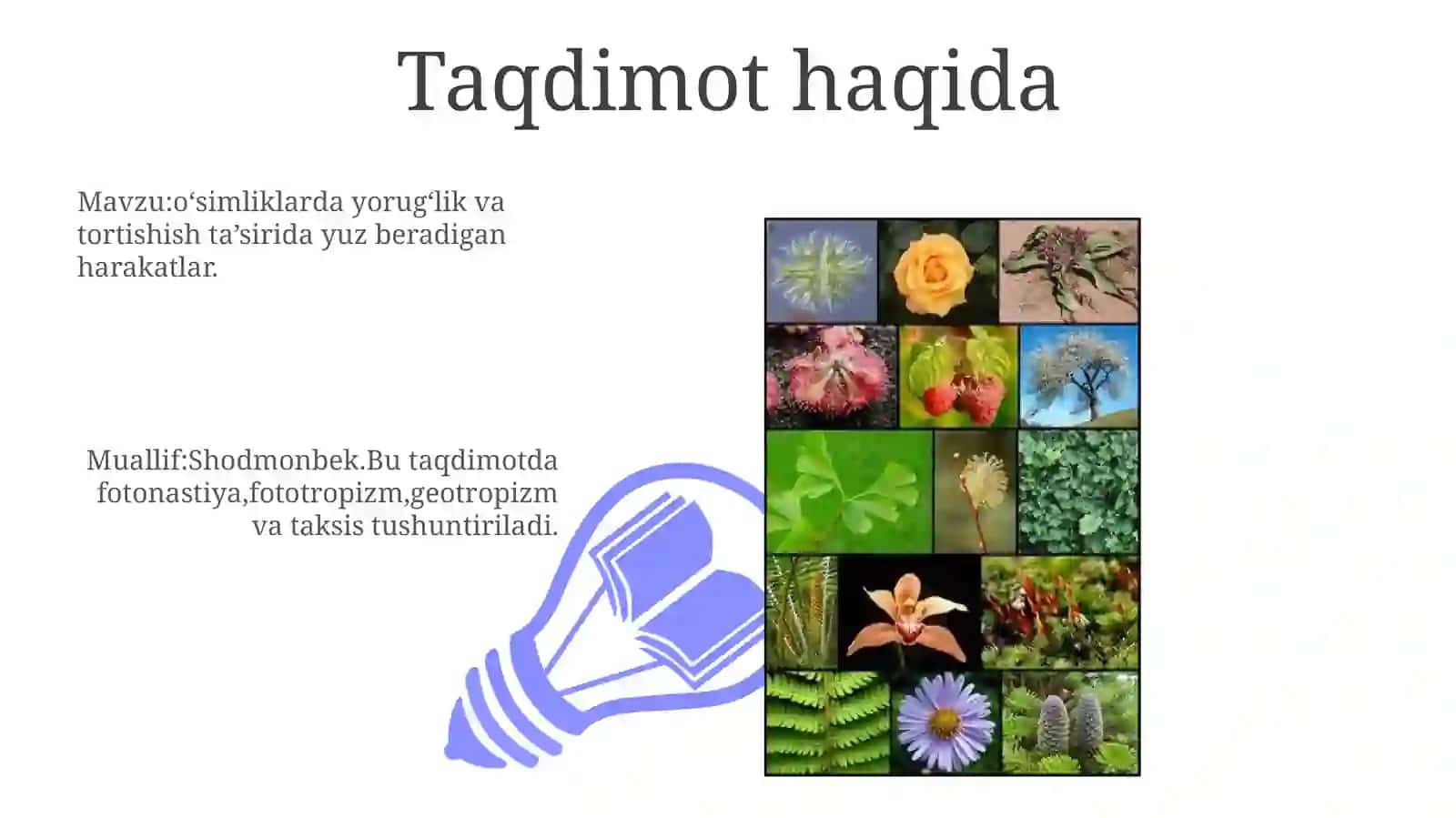 Fotonastiya, Fototropizm, Geotropizm, Taksis 3