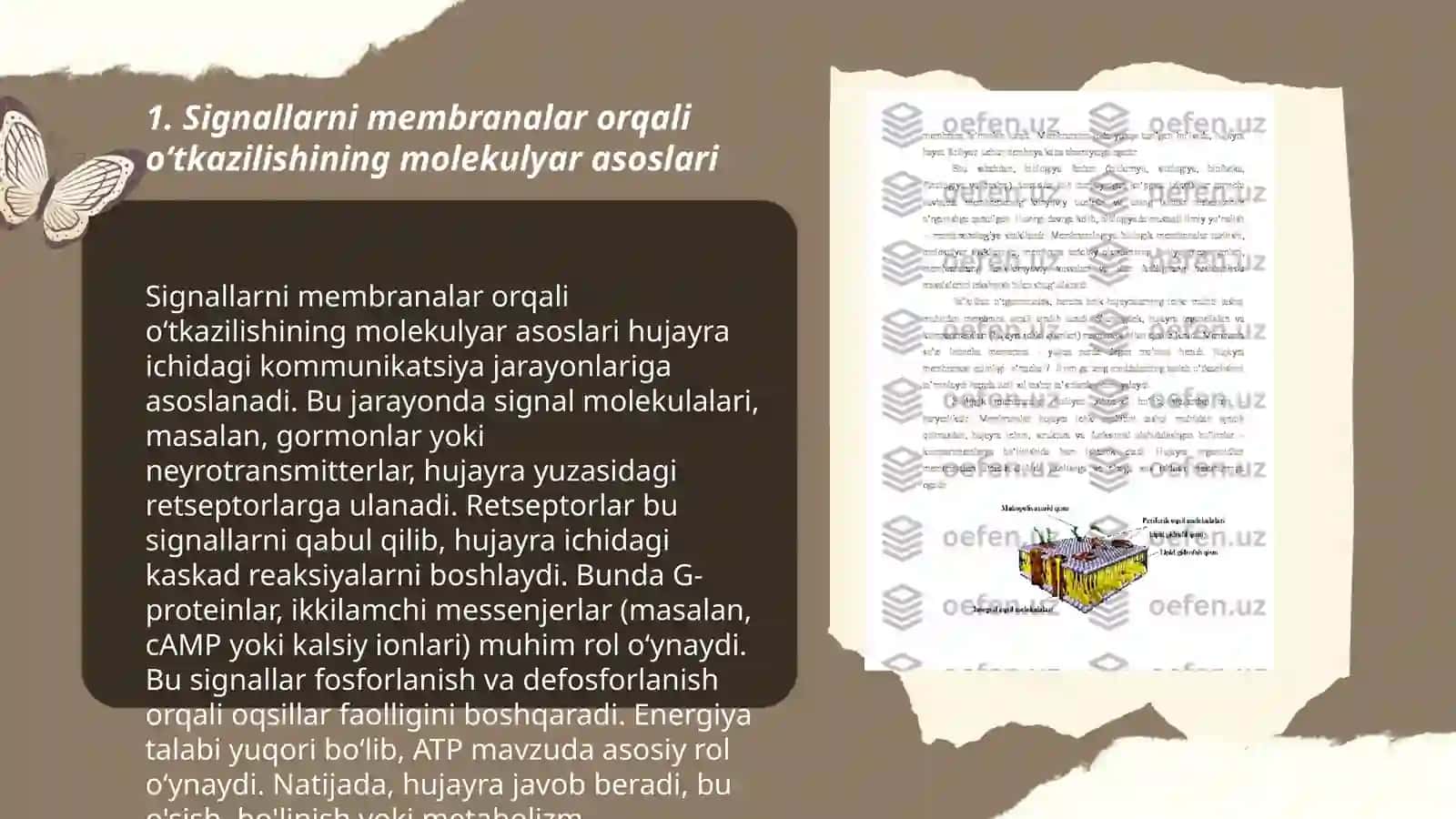 Signallarni membranalar orqali oʻtkazilish 3