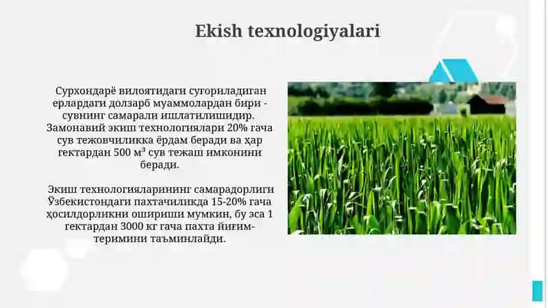 Ekologik omillar 3