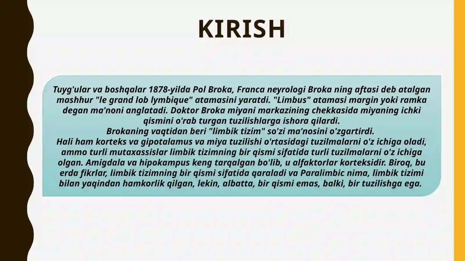 Limbik tizimi va uning genezi 3