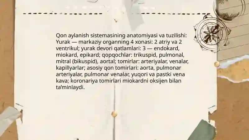 Qon aylanish sistemasi 3