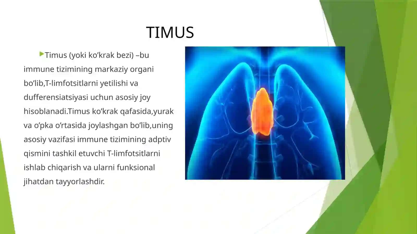 TIMUSDAGI T-LIMFOTSITLARNING YETILISH JARAYONI 3