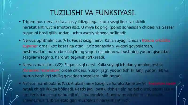 V, VII, VIII- juft Bosh miya nervlari; tekshirish usullari, patologiyasi. 3