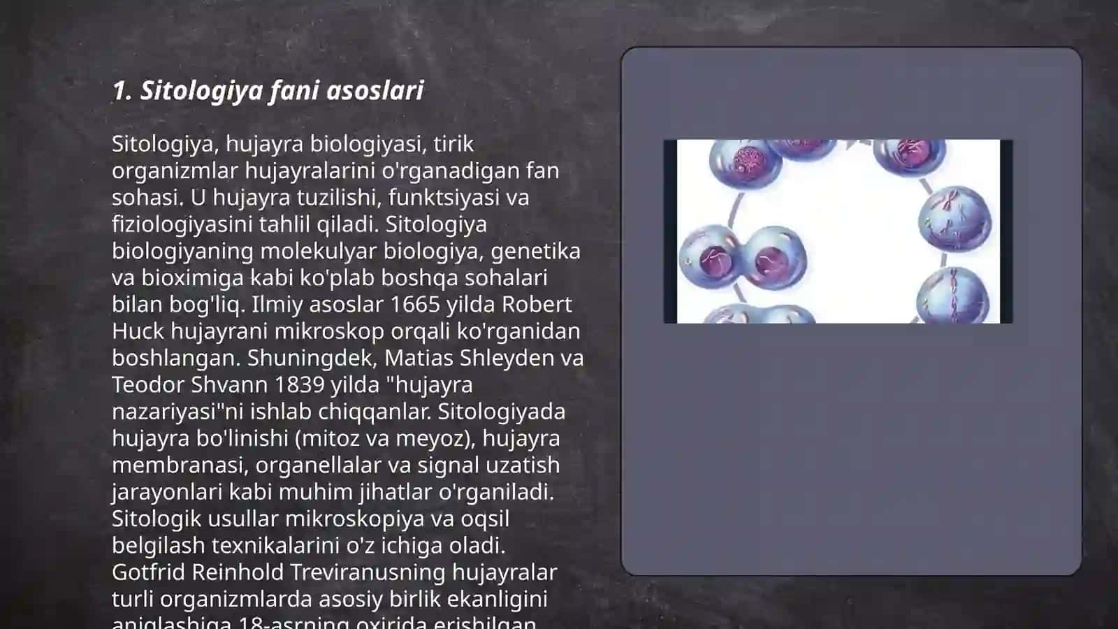 Sitologiya. Eukariot hujayralari. Organizmlarni ko'payishi. Mitoz. Meyoz 3