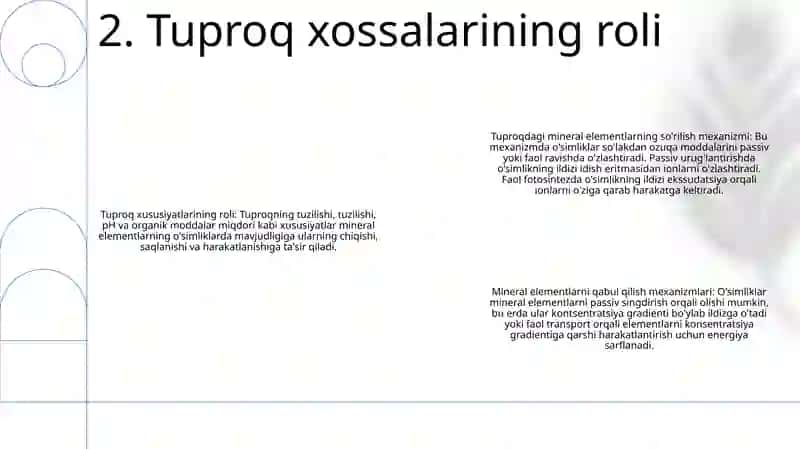 Tuproq Mineral Elementlari Yutish Mexanizmi 3
