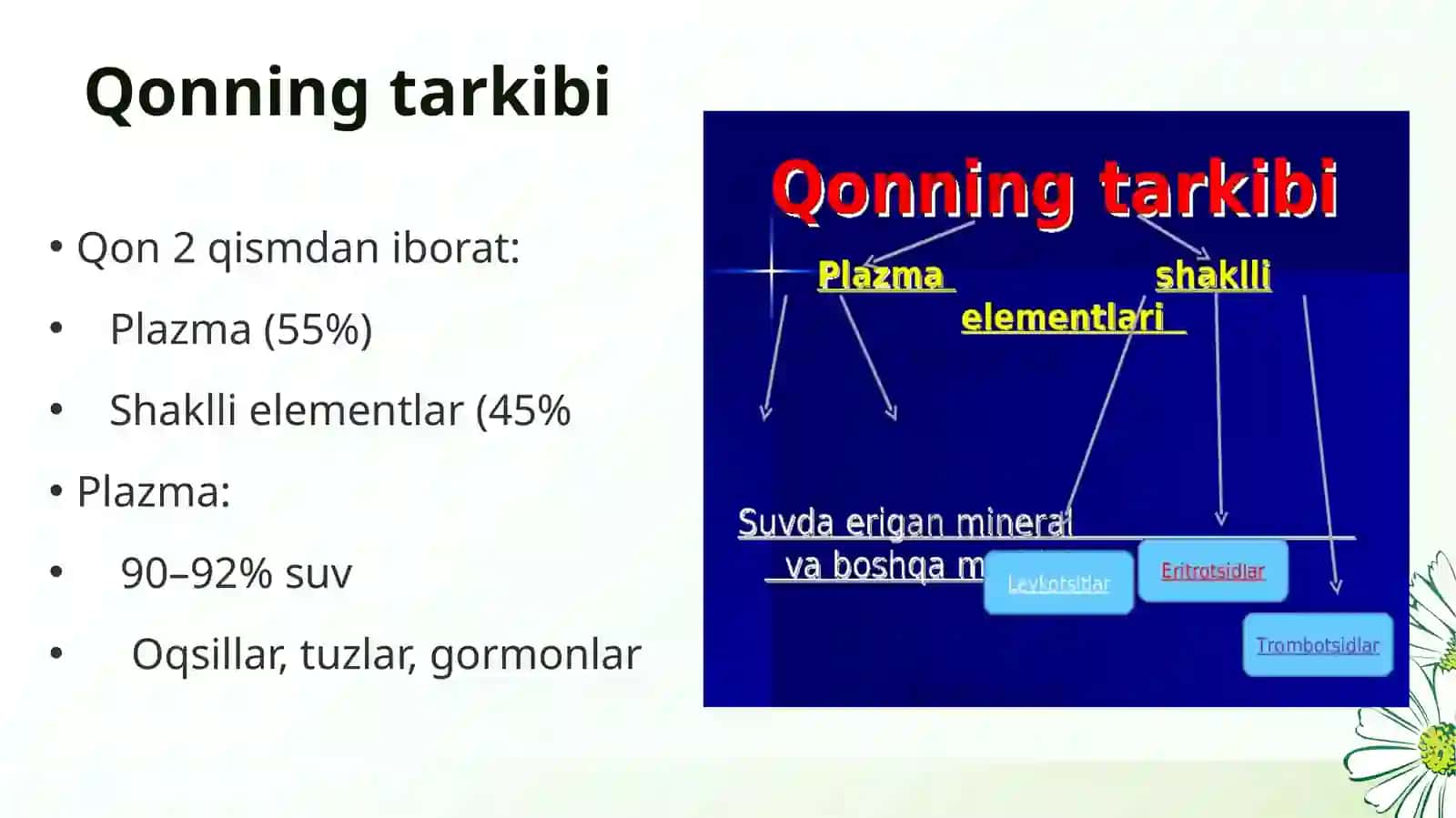 Qon shakilli elementlari. 3