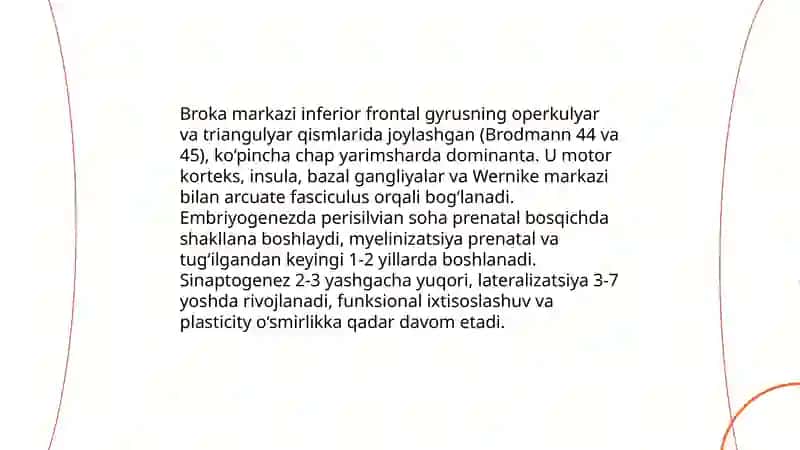 Bolalar nutqining rivojlanishida neyropisxologik mehanizimlar: broka va Vernike markazlari faoliyati 3