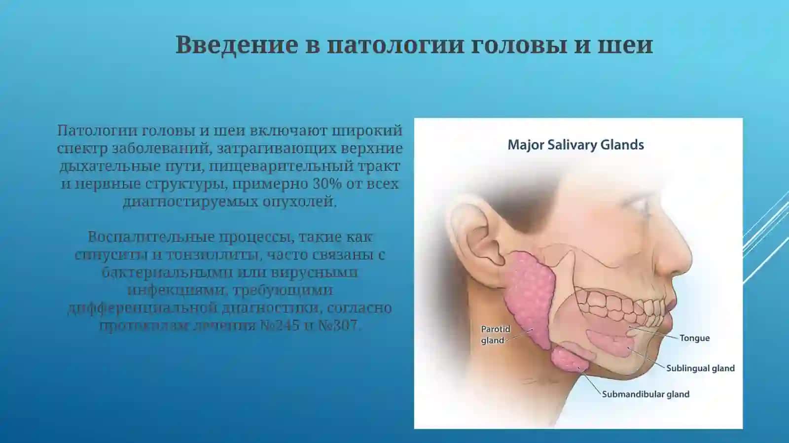 Патология головы и шеи: воспалительные и опухолевые процессы 3