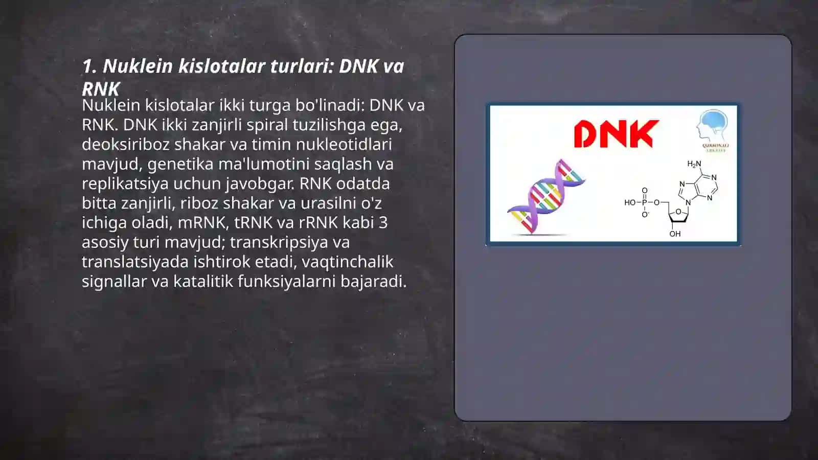 Nuklein kislotalarning tuzilishi va funksiyasi 3