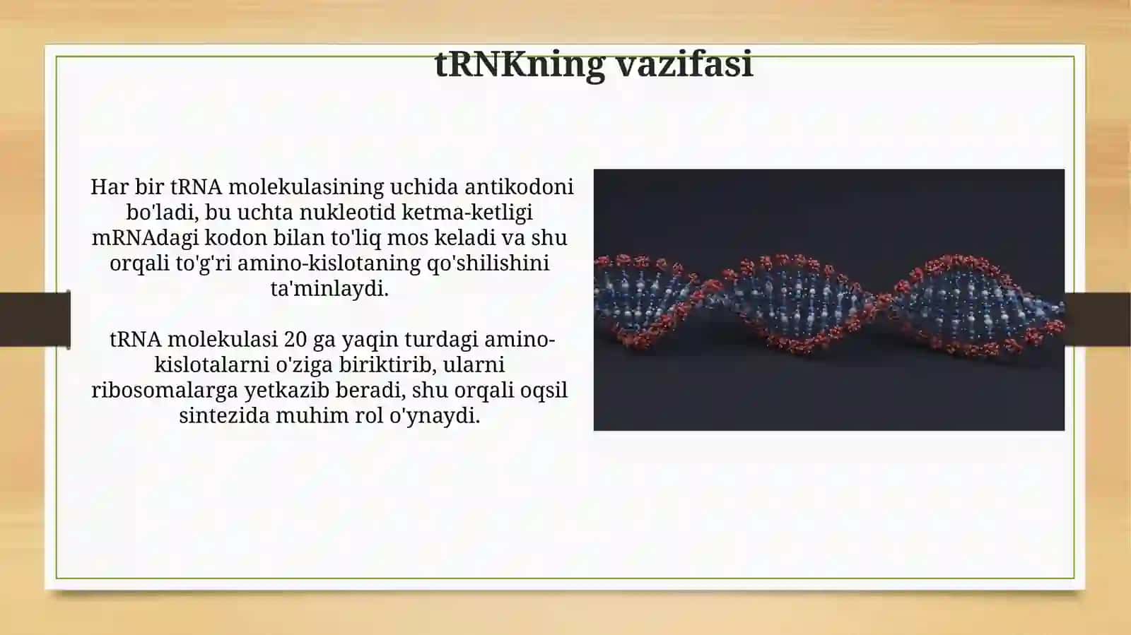 Hujayrada transkripsiya,translyatsiya va replikatsiya jarayonlari 3