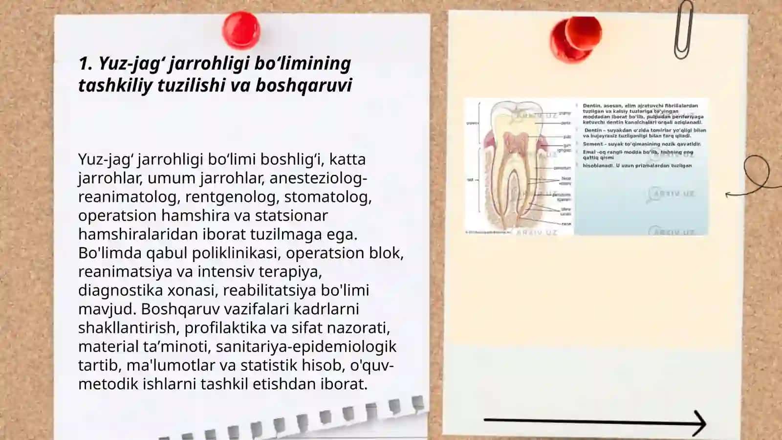 Yuz-jagʻ jarrohligi boʻlimining tuzilishi 3