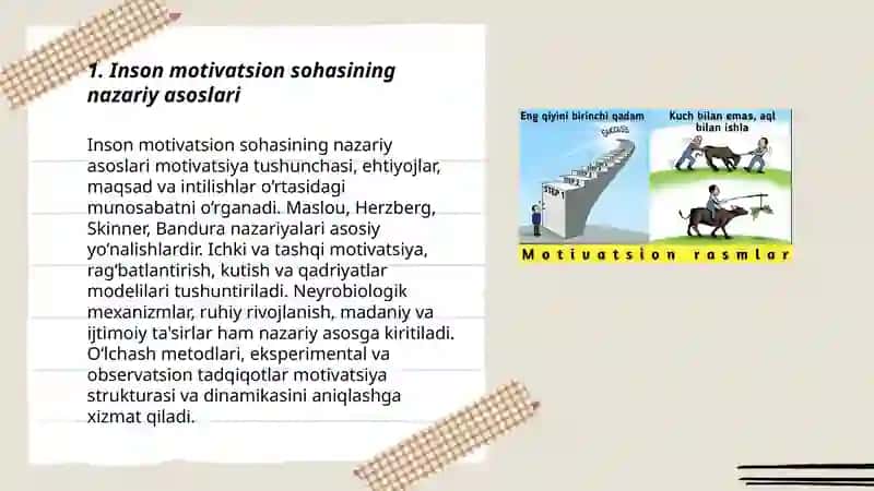 Inson motivatsion sohasining rivojlanishi 3