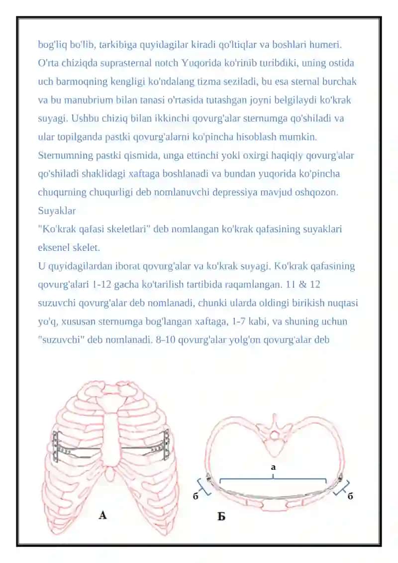 KO'KRAK QAFAS RENGENOGRAFIYASINI TAXLILI 3