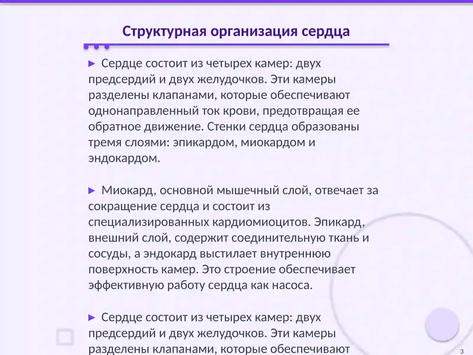 Сердечно сосудистой системы в гистология 3