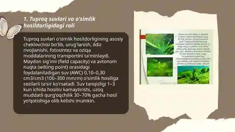Tuproq suvo'tlarining ahamiyati va ularning usullarini o'rganish 3