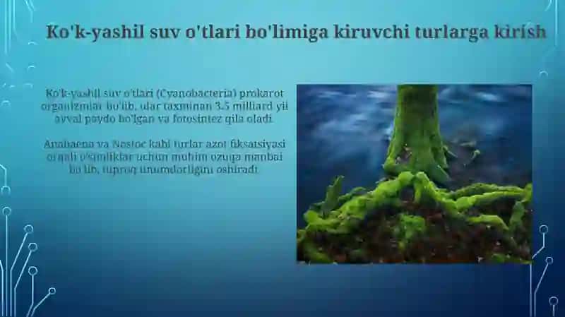 Ko'k-yashil suv o'tlari boʻlimiga kirish 3