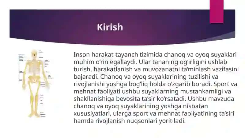 Chanoq va oyoq suyaklarining yoshga nisbatan xususiyatlari. Sport va mehnat faoliyatini chanoq va oyoq suyaklariga ta'siri, rivojlanish nuqsonlari. 3