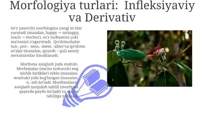 Morfologiya turlari: Infleksiyaviy va Derivativ 3