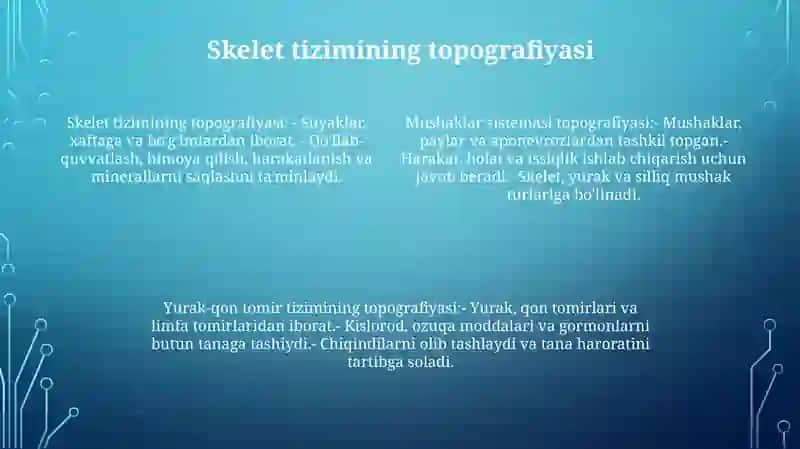 Suyaklar Sistemasi, Muskullar Yurak Va Qon Tomir Sistemalarining Tuzilishi Va Topografiyasi 3