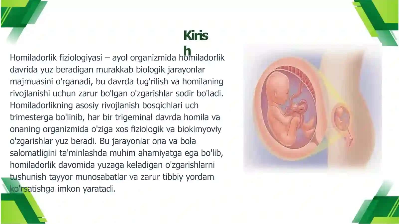 Homiladorlik fiziologiyasi va rivojlanish bosqichlari 3