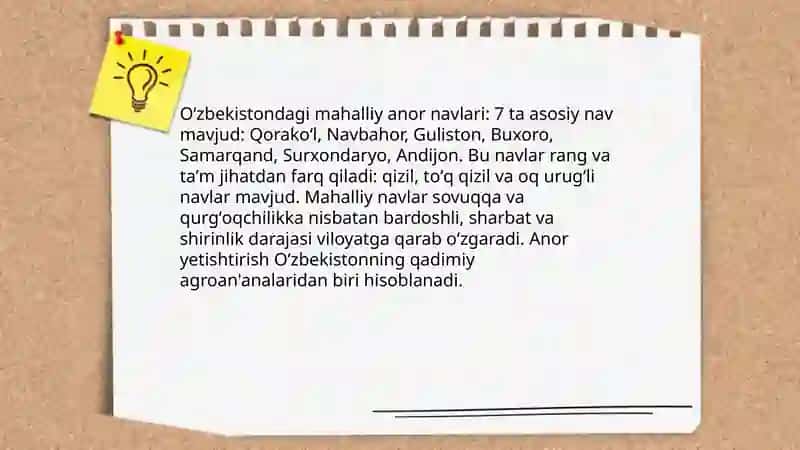 Oʻzbekistondagi anor navlari 3
